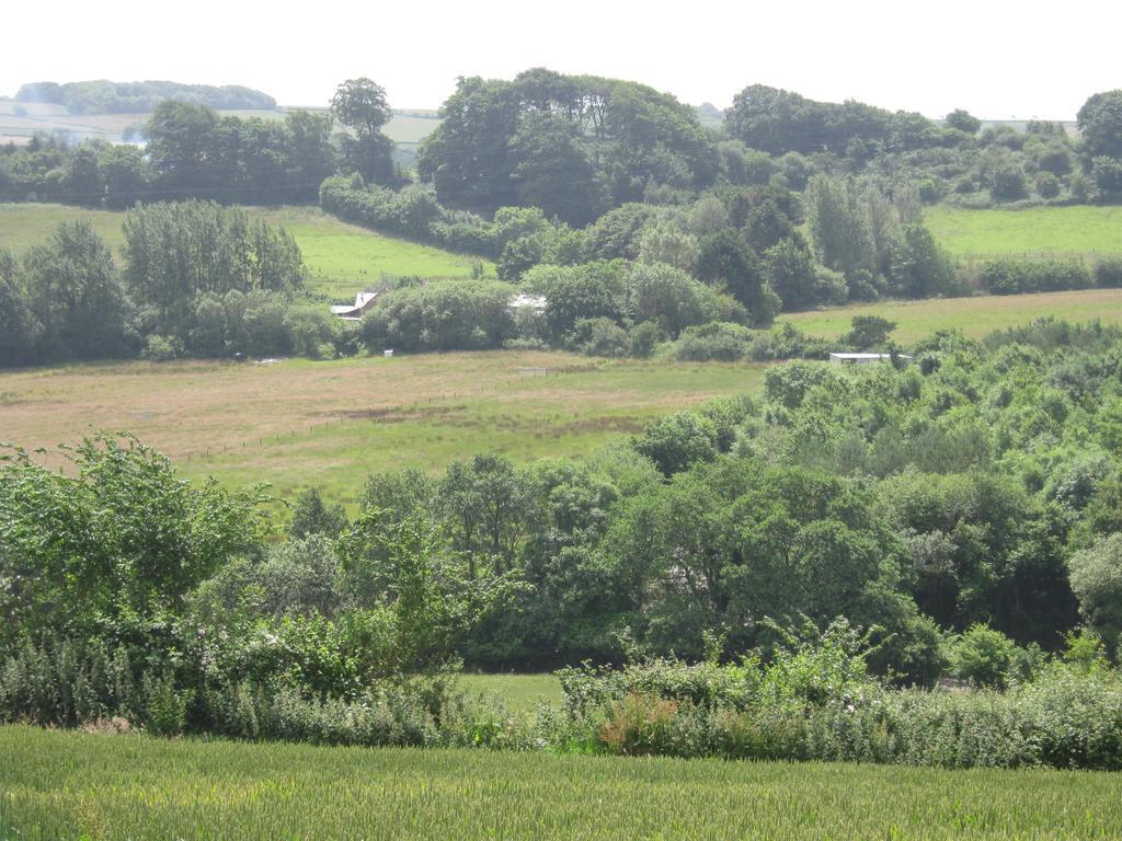 Hollamoor Farm Bed & Breakfast Barnstaple Exterior photo